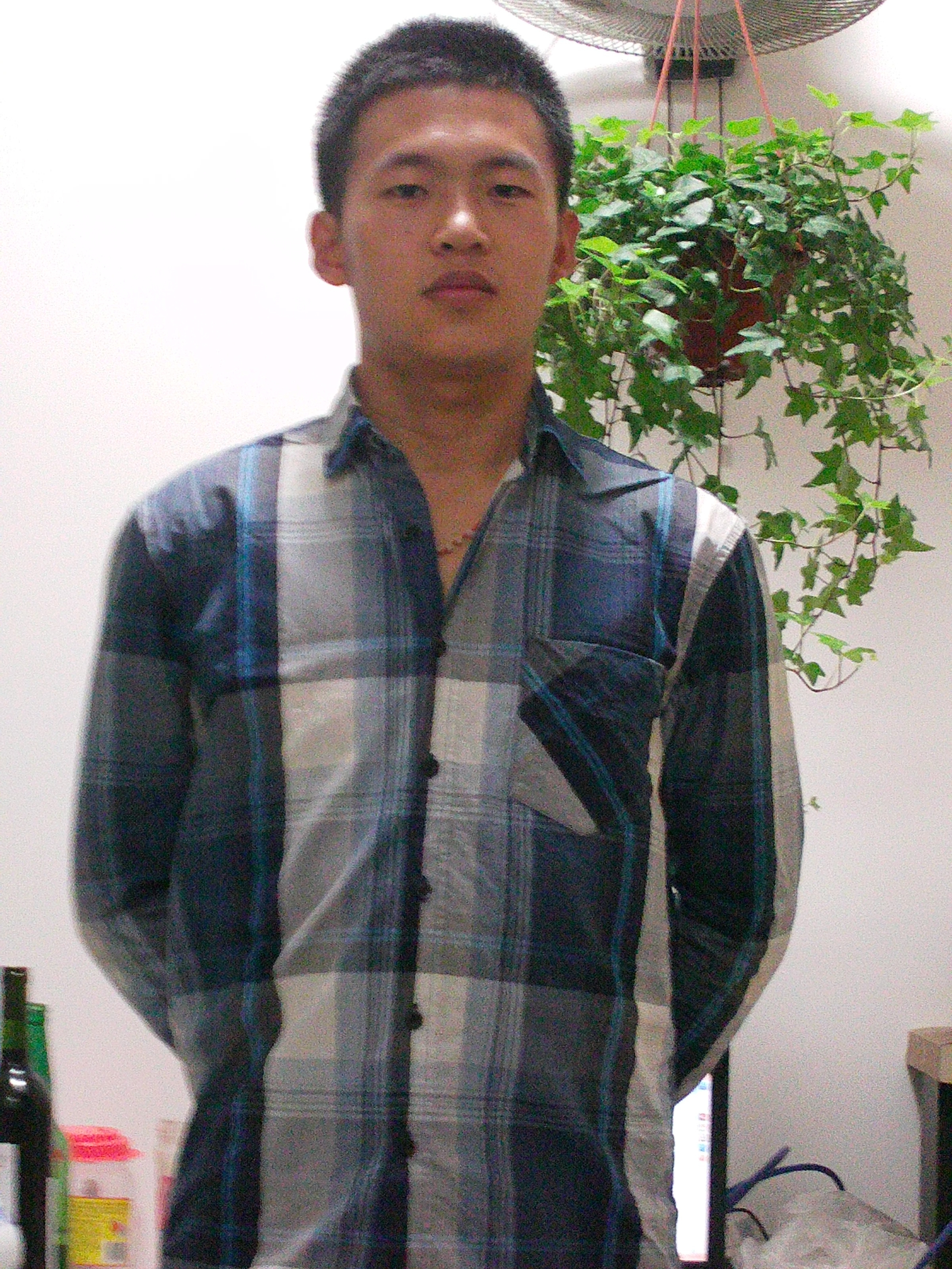 龙龙
