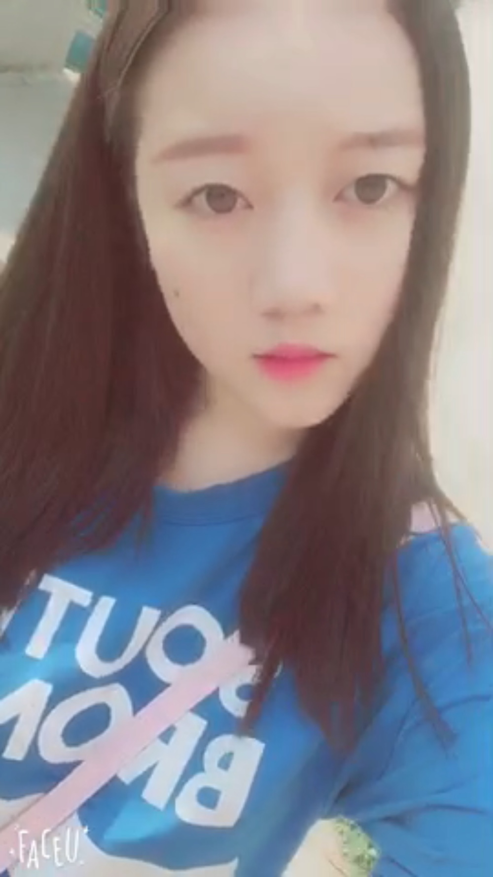 伴仙照片