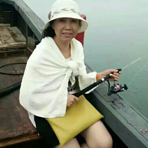 素食的狮子