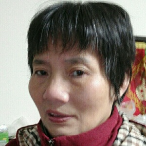 想飞的鱼