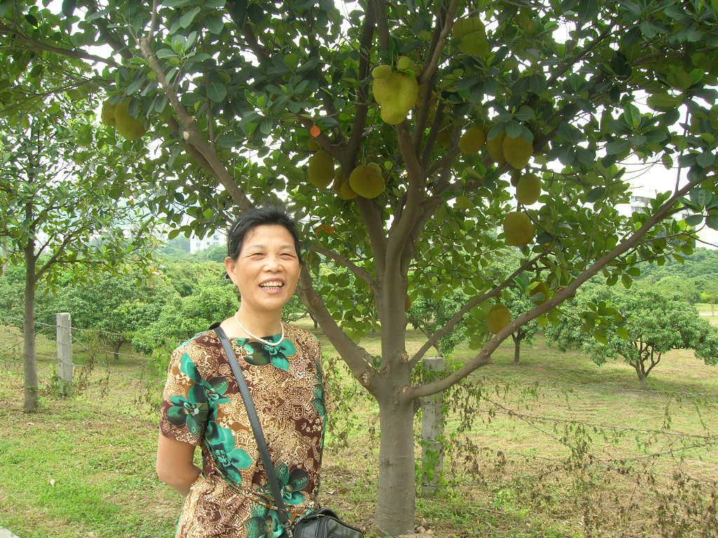 68岁离异女征婚照片(id:61689425)_湖南衡阳征婚交友_珍爱网